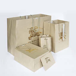 Paper Bag with Ribbon