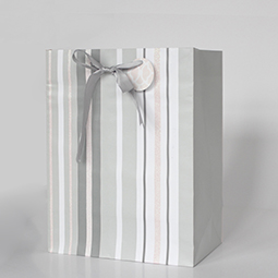 Paper Bag with Ribbon