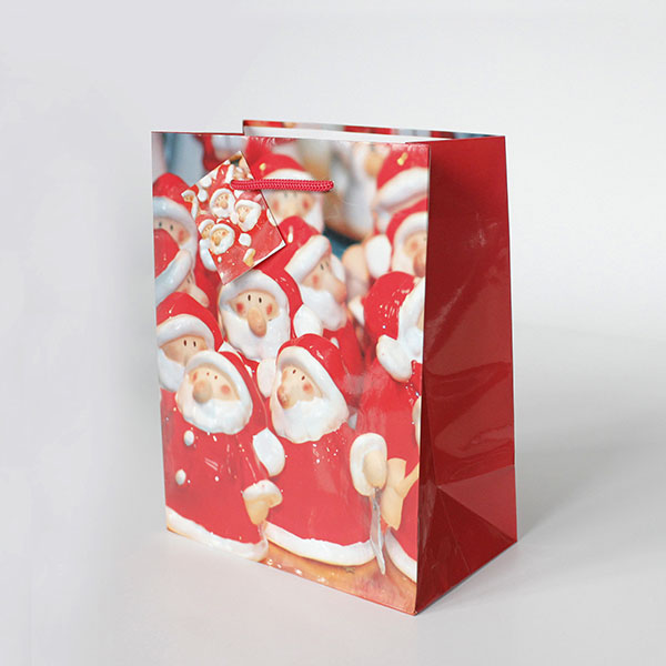 Paper Bag with Ribbon