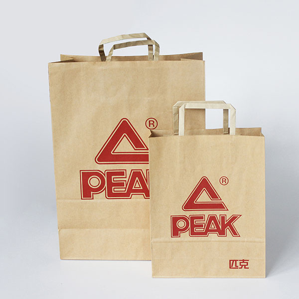 Paper Bag with Rope Handles